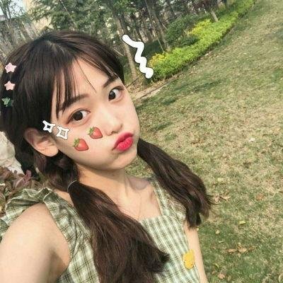 狐狸猎手封面