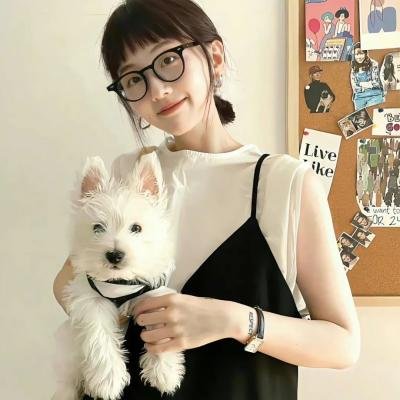 杠上姐妹花封面